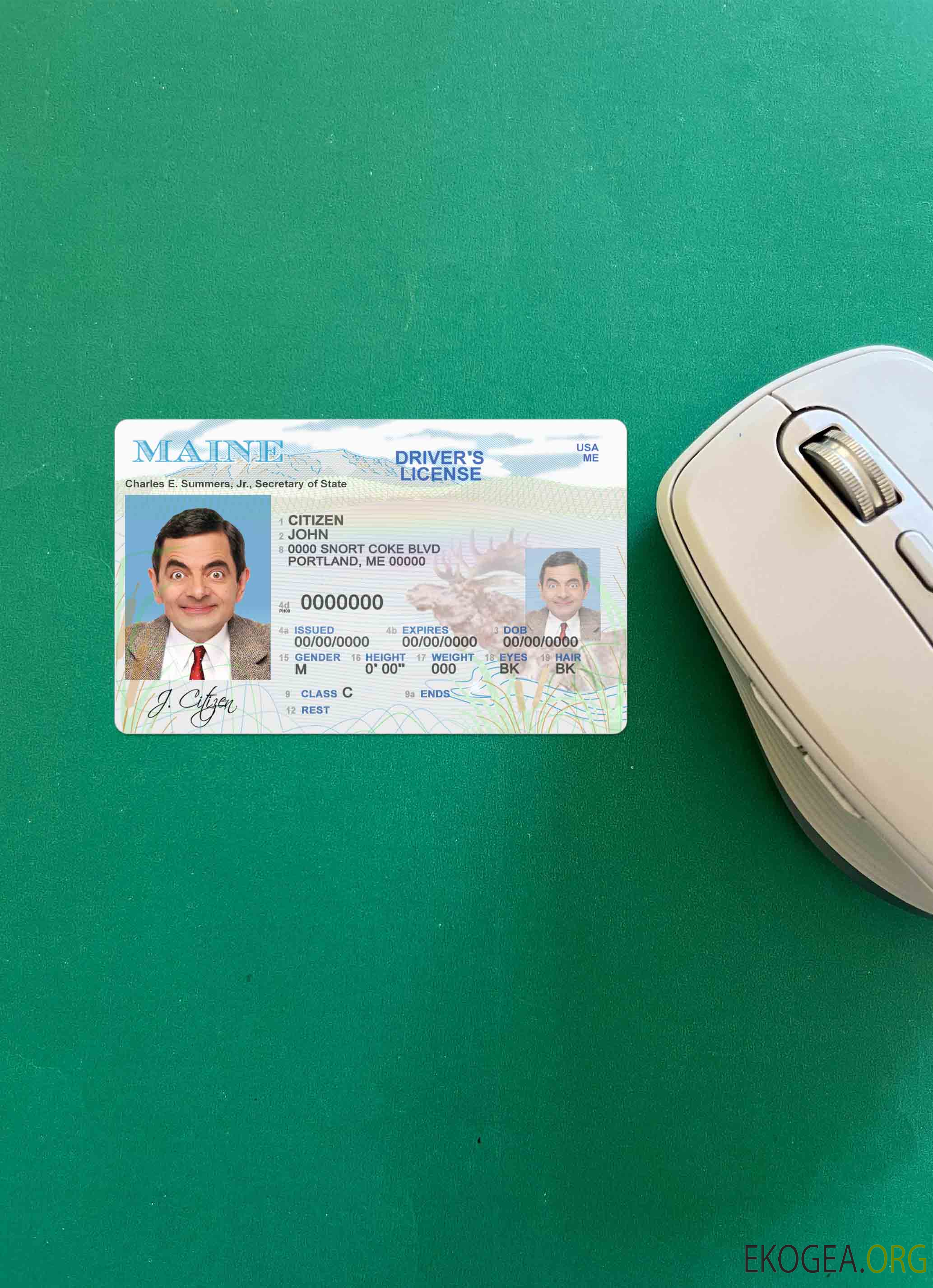 USA Maine State permis de conduire photolook AVANT